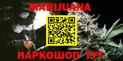 гашик Новозыбков