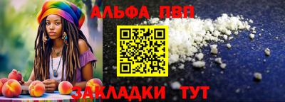 гашик Новозыбков