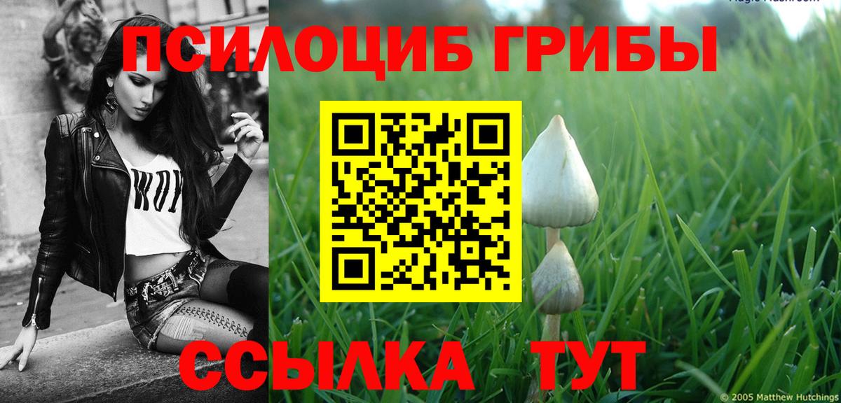 Галлюциногенные грибы мухоморы Соль-Илецк